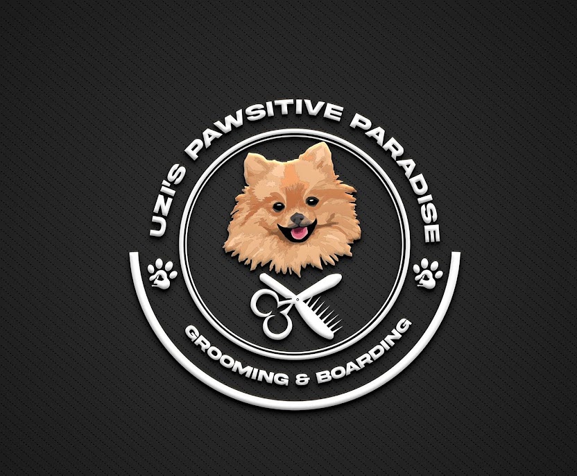 Uzi's Pawsitive Paradise Pet Grooming & Boarding feature image
