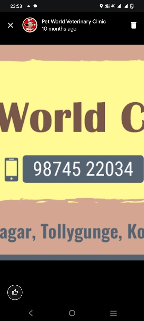 Pet World Veterinary Clinic feature image