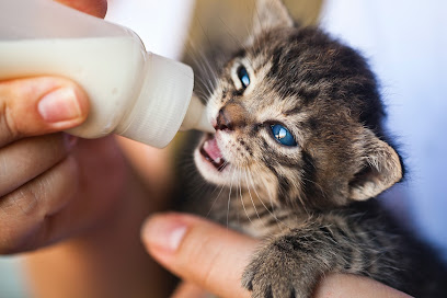 C/O Pets India