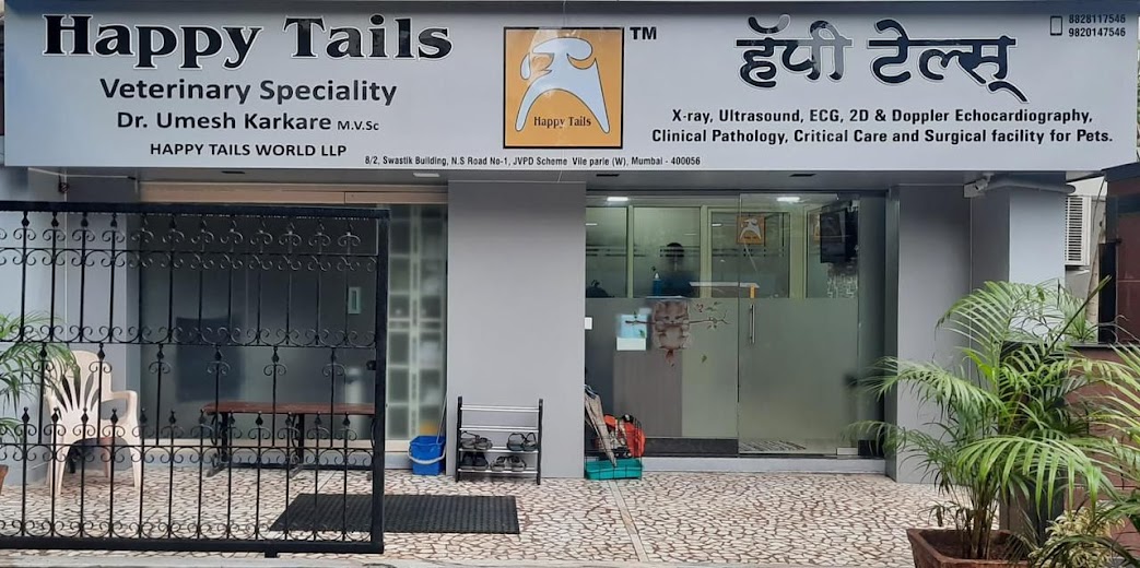 Happy Tails World Juhu feature image
