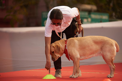 Nabamita das dog training center