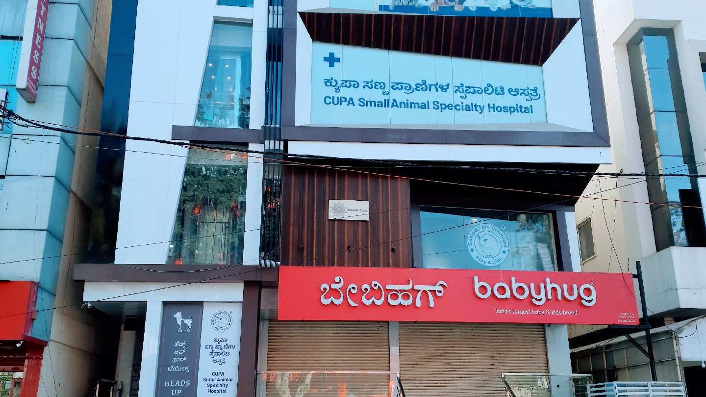CUPA Small Animal Specialty Hospital feature image