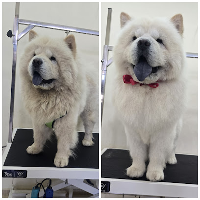 Pet gallery