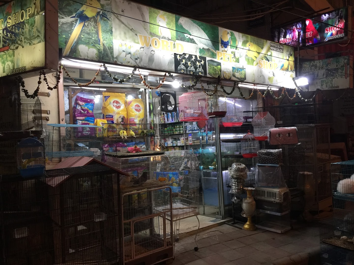 World Pet Shop feature image