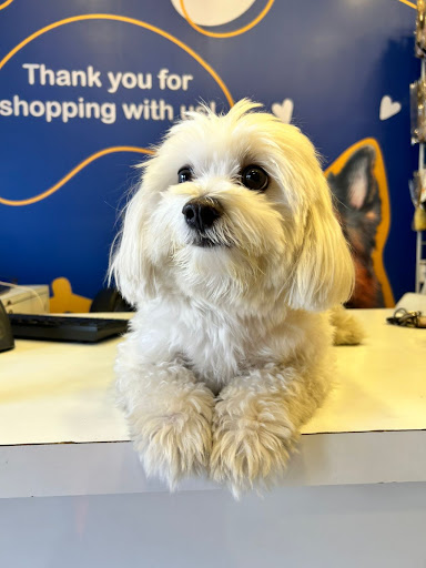 The Pet Padosi - Pet Store & Spa - Salunkhe Vihar , Pune gallery image 2