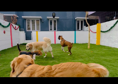 Woof World Pet Homestays & Grooming