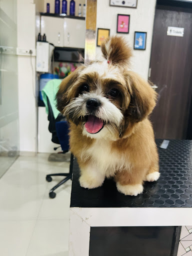 WOOF & MEOW PET CLINIC & GROOMING gallery image 1