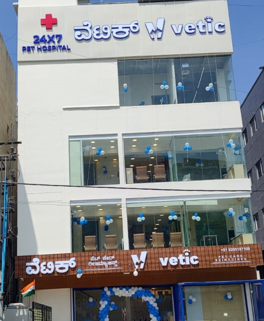 Vetic Pet Clinic Domlur feature image