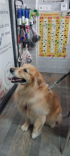 Scoopy Scrub & Pet Bytes - Mayur Vihar gallery image 2