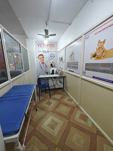 Pets Nation gallery image 4