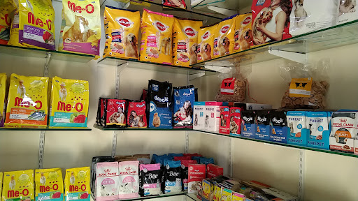 Pets Nation gallery image 6