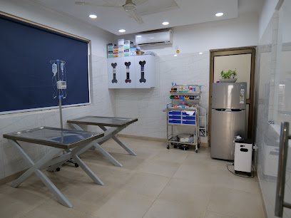 Max vets clinic- Best Veterinary hospital and clinic in Shanti Niketan, South Delhi