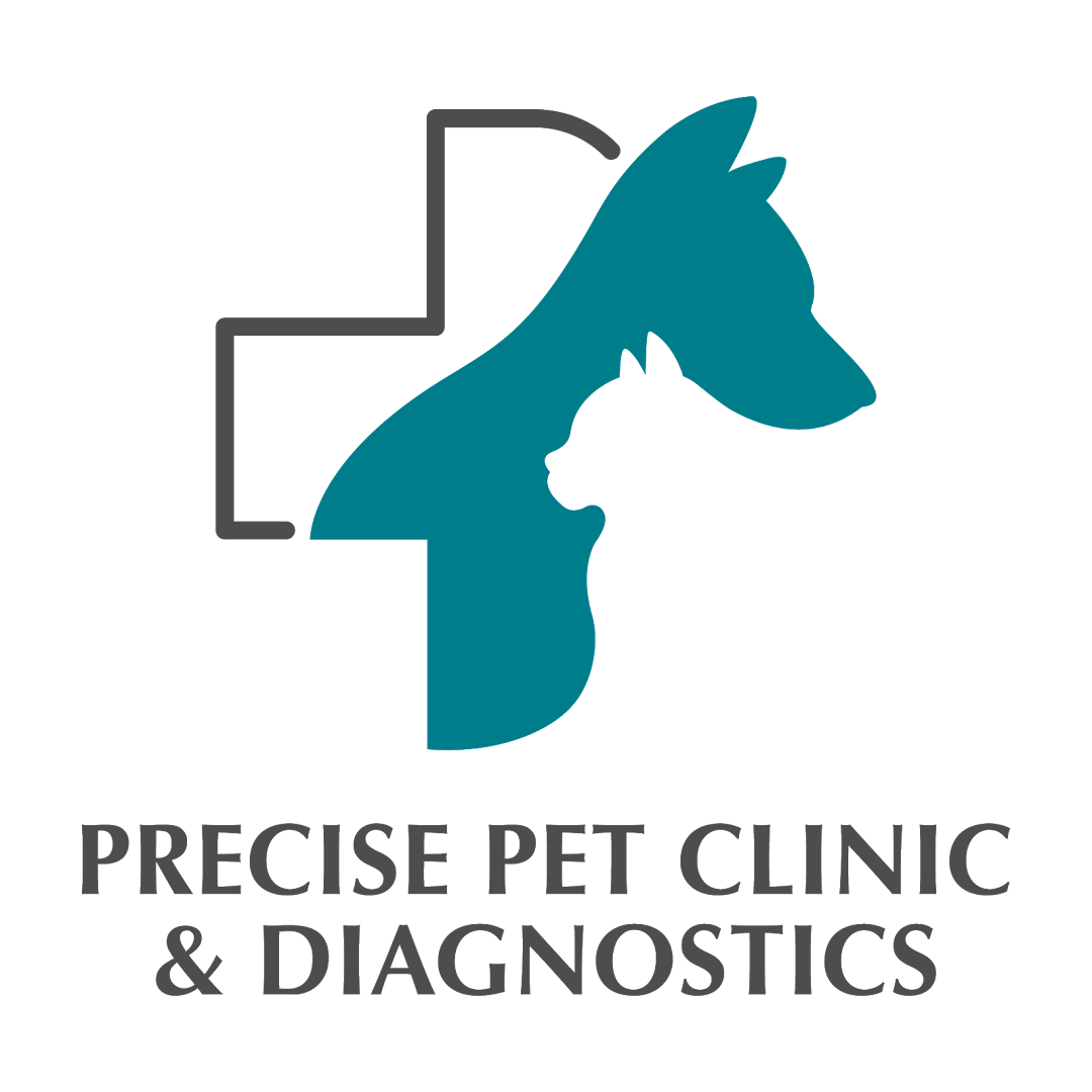 Precise Pet Clinic feature image