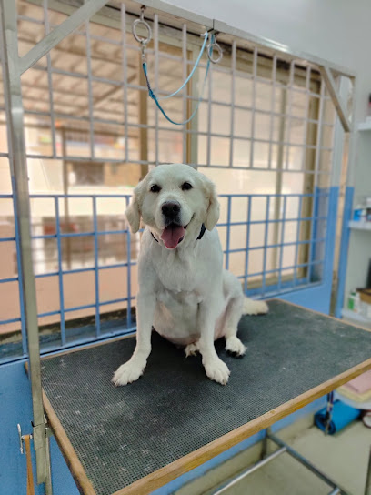 Paws Valley Pet Hospital Kaggadaspura Branch