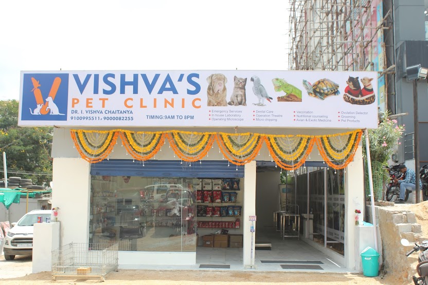 Vishva's Pet Clinic feature image