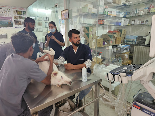 Vishva's Pet Clinic gallery image 1