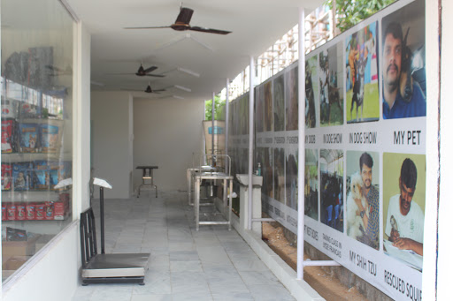 Vishva's Pet Clinic gallery image 2