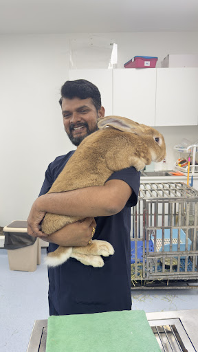 Vishva's Pet Clinic gallery image 3