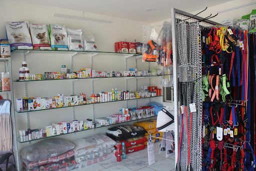 Vishva's Pet Clinic gallery image 4