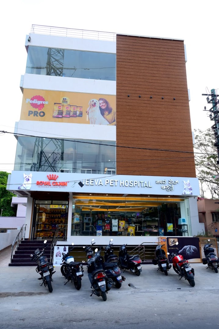 Jeeva Pet Hospital feature image