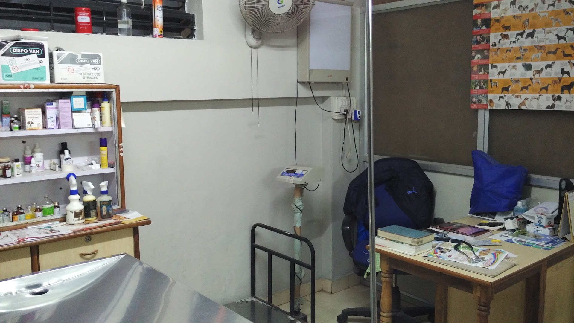 Park View Pet Clinic and Pet Shop feature image