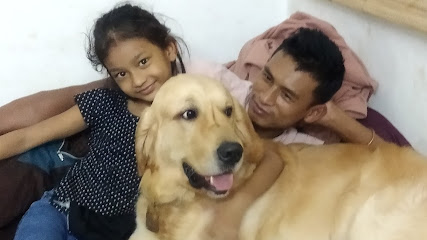 Rajkumar Professional Dog Walker