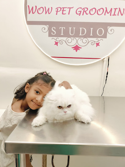 Wow Pet Grooming Studio