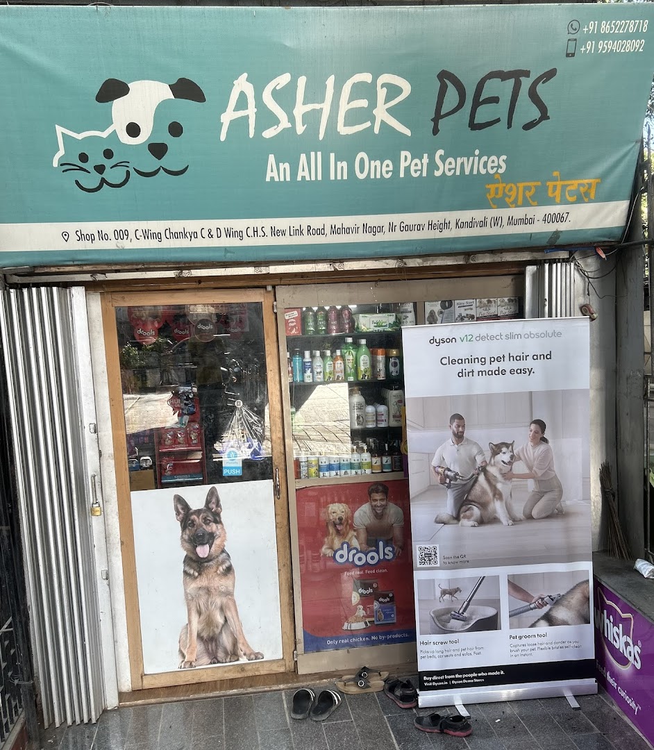 Asher Pet Shop and Pet Spa feature image