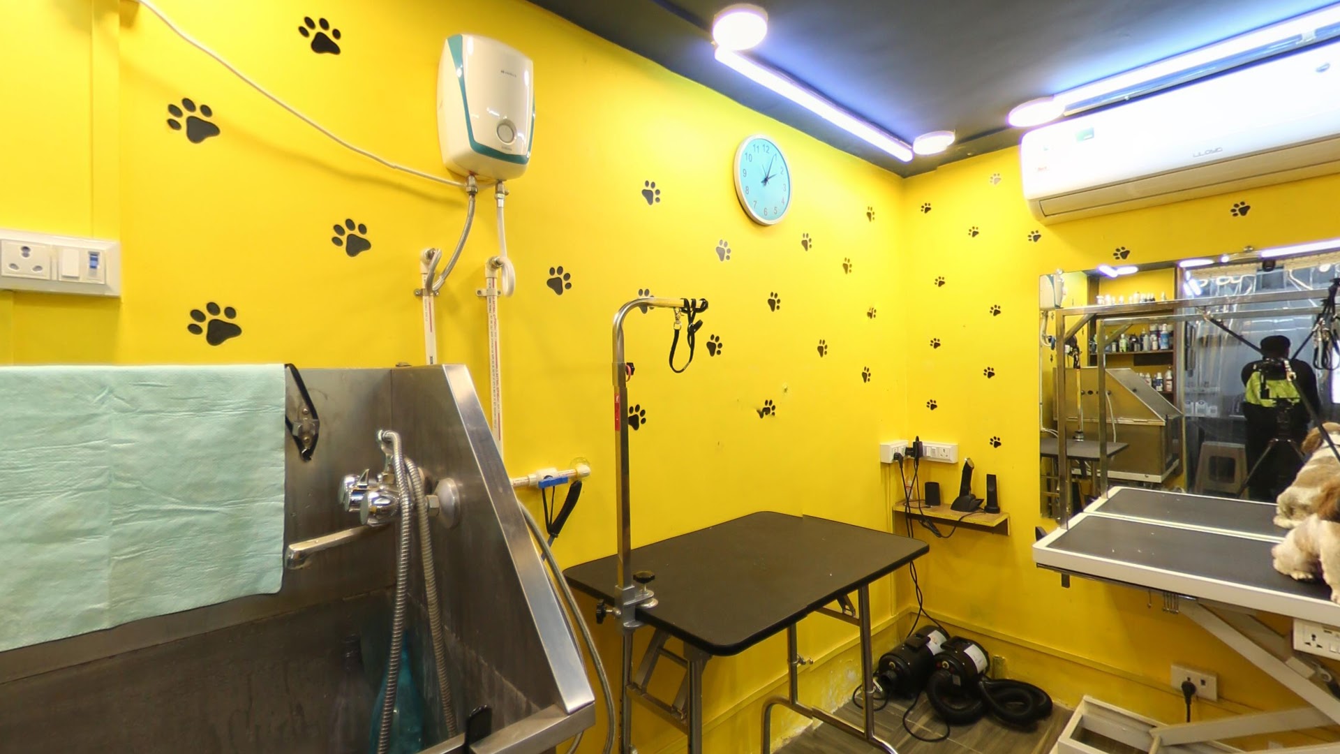 Canine Products Kandivali feature image