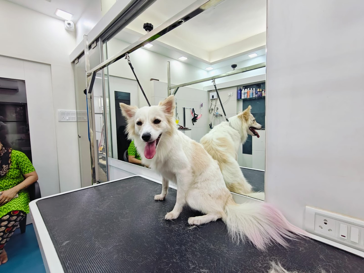 Curls & Tangles - Mumbai's Best Pet Grooming Lounge feature image