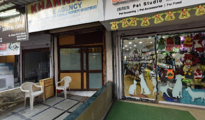 Bark & Meow Pet Studio