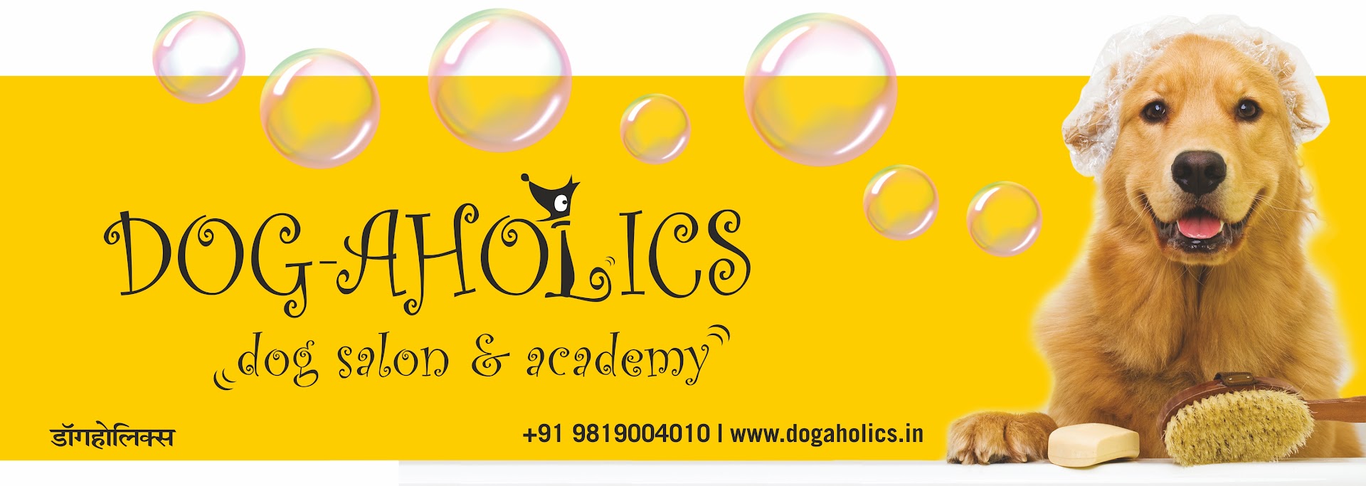Dogaholics Pet Salon feature image
