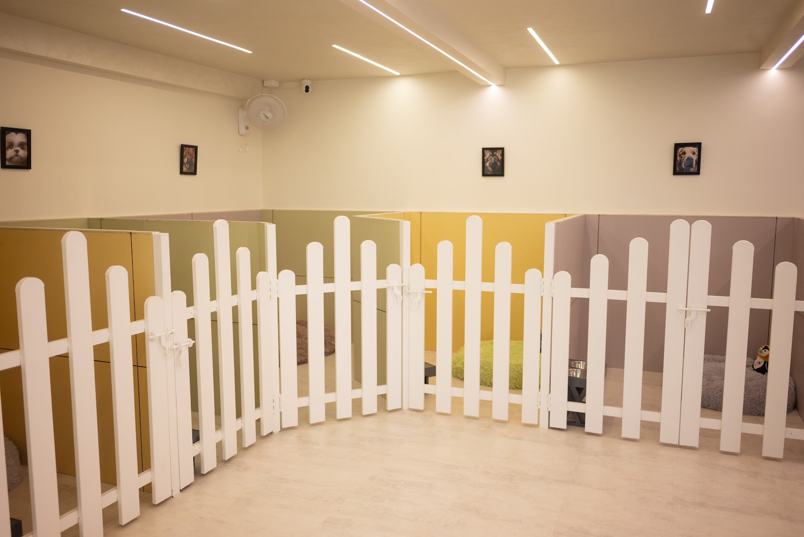 Furends Pet Studio feature image
