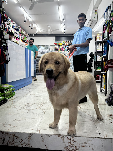Puplife Pet Clinic gallery image 2