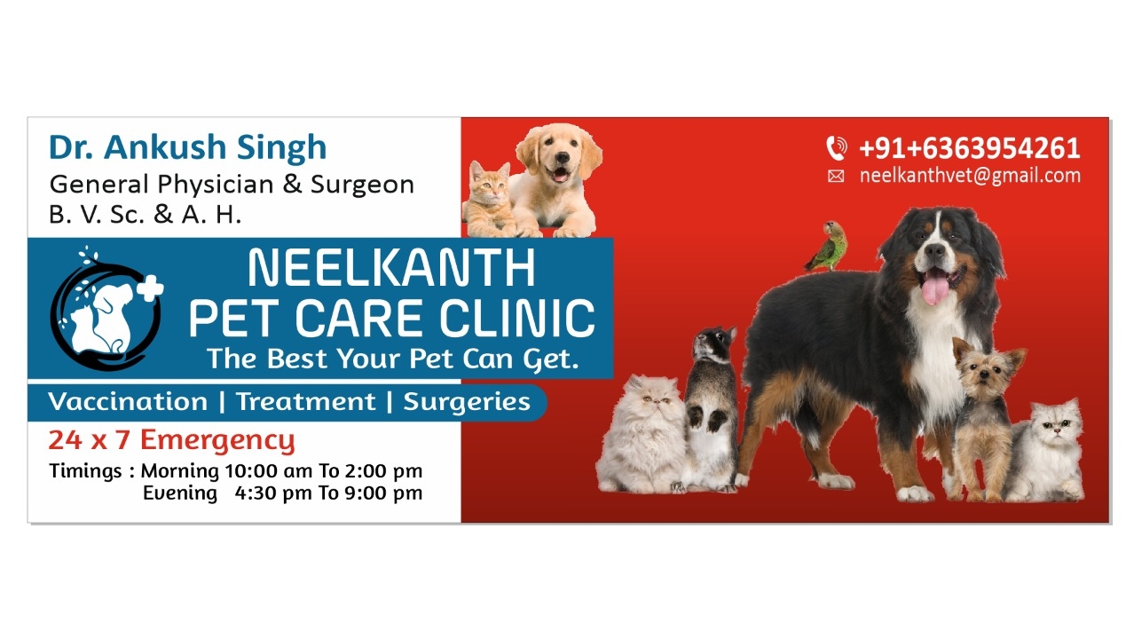 Neelkanth Vet and Pet clinic feature image