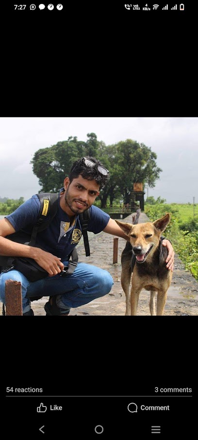 Hiro Paws Hitesh Rohekar groomer.