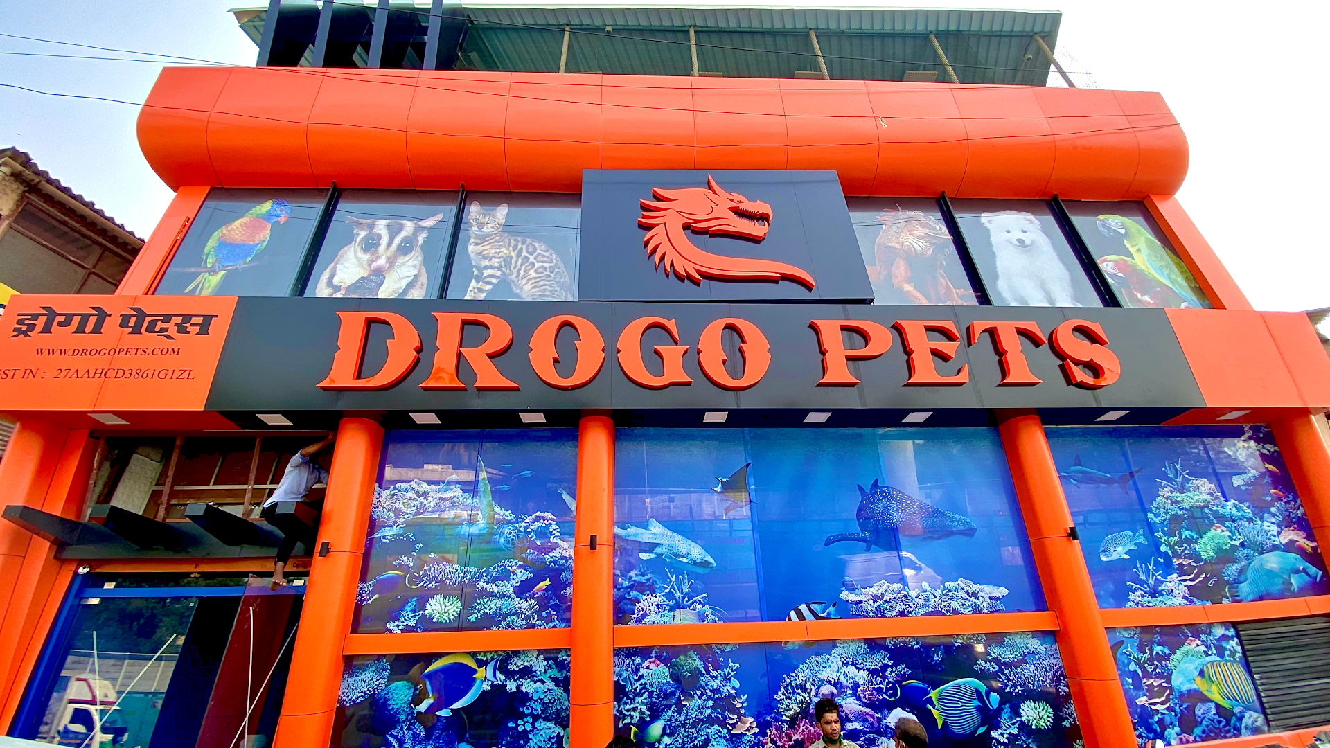 Drogo Pets Pvt Ltd feature image