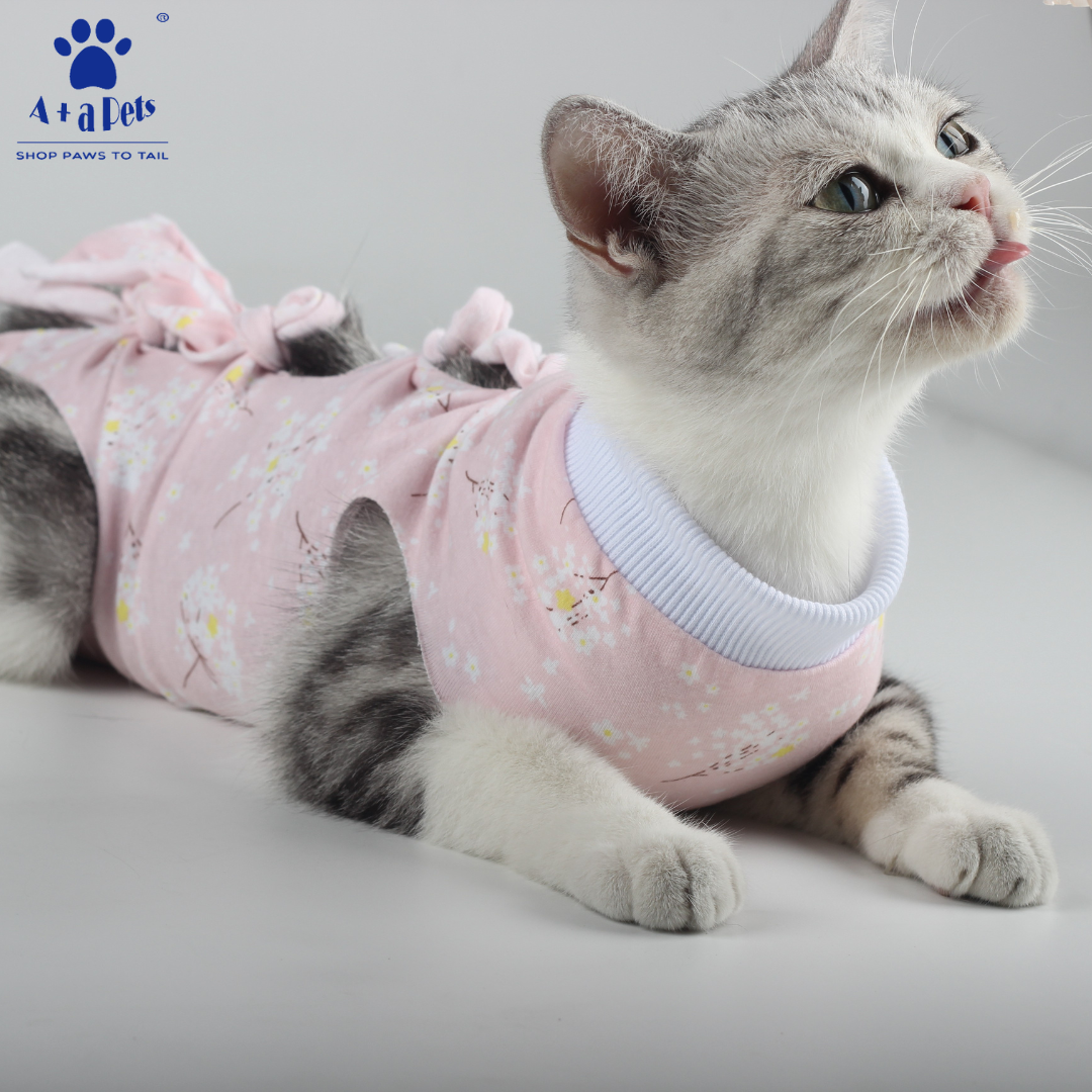 A Plus A Pets feature image