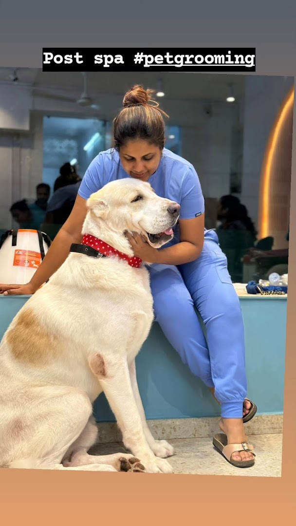 Dr Rina Dev's Animal & Bird Clinic feature image