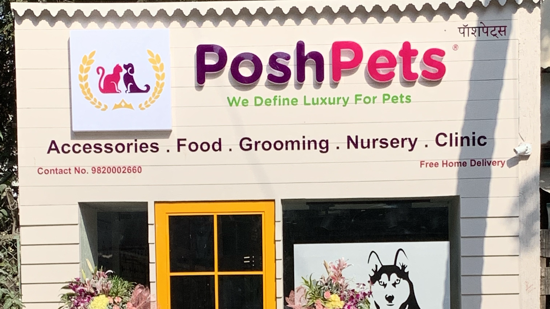 Posh Pets feature image