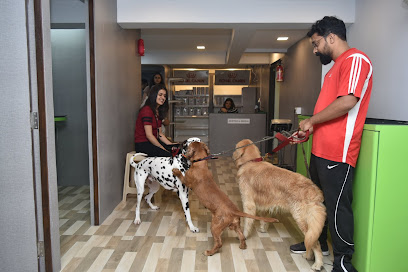 Petville Pet Clinic