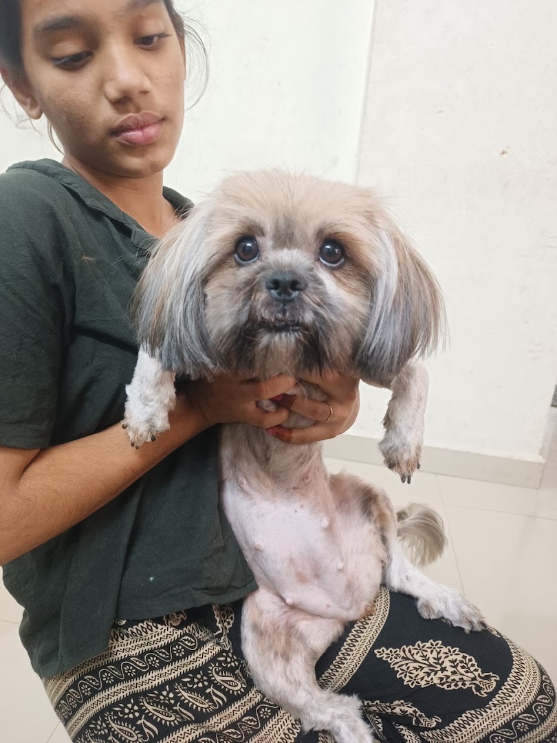 Happy Tails Grooming feature image