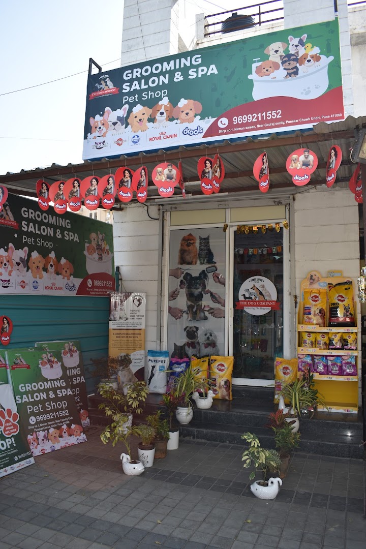 The Dog Company- Best Grooming Salon in Pune feature image