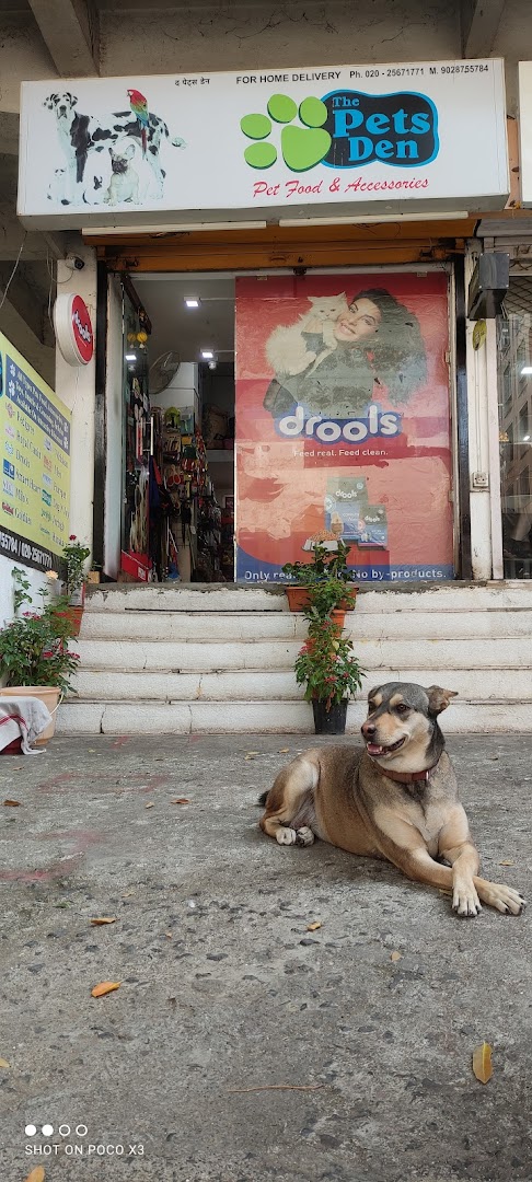 THE PETS DEN feature image