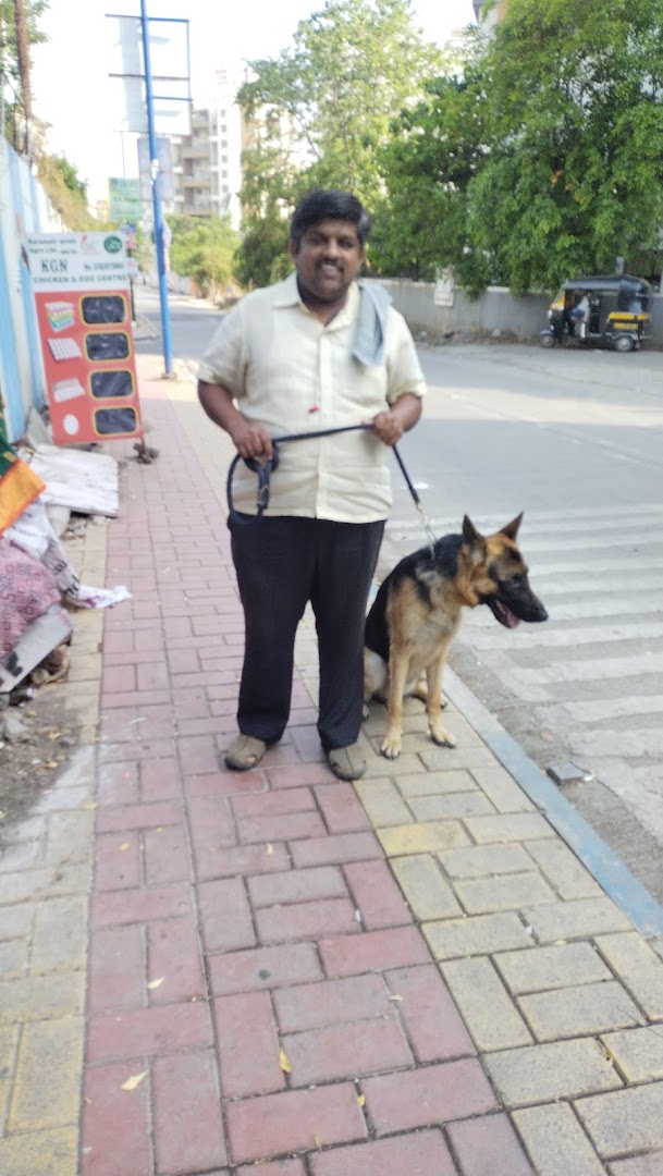 Vivek Pet's Dog walking services Pune feature image