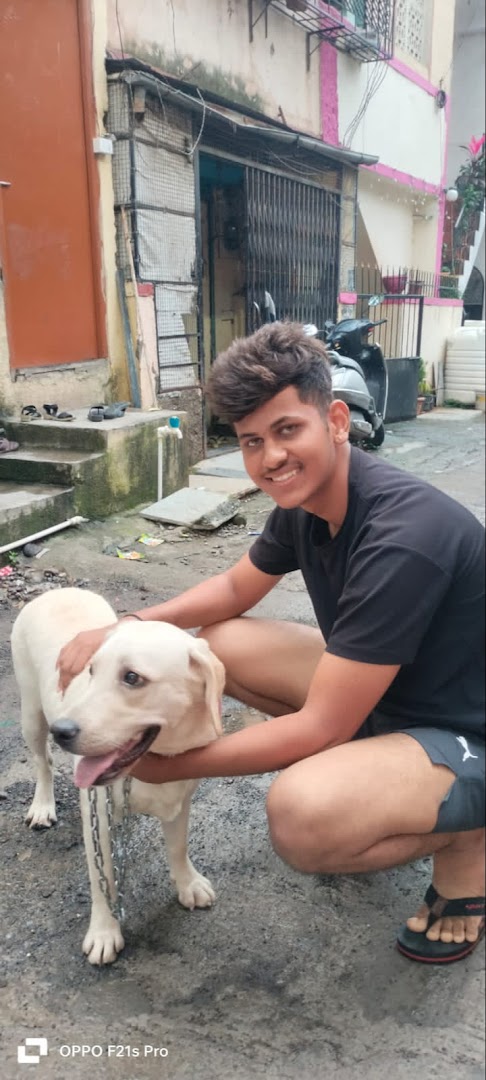 RG dog walkers special training-pune feature image