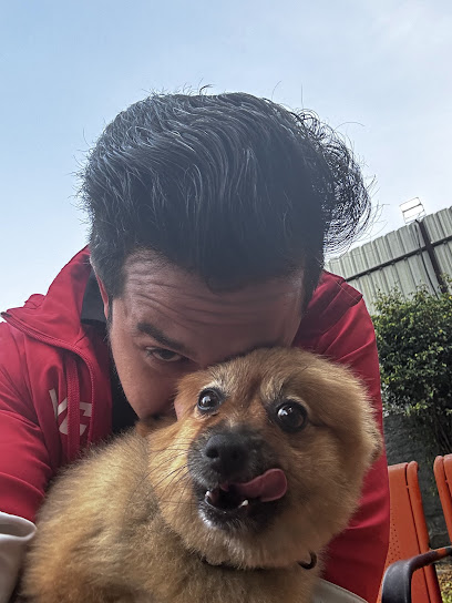 SULTANAT-The EMPIRE OF DOGS| BEST BOARDING FACILITY IN PUNE