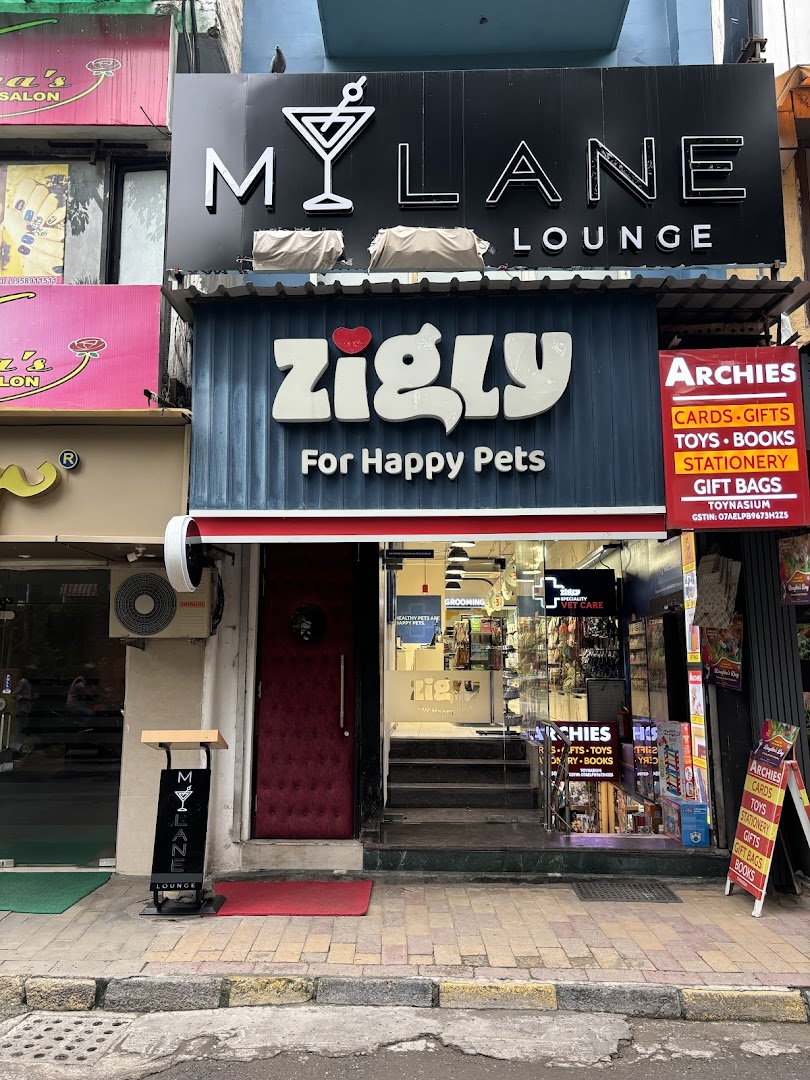 Zigly - Vet Clinic, Pet Grooming & Pet Products | Defence Colony feature image