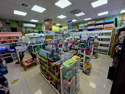 King’s fish world pet’s hub