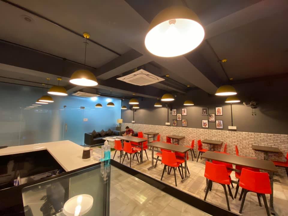 PET GROOMING PARLOUR feature image